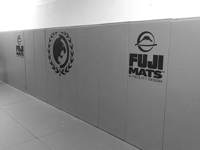 Sports Wall Pads